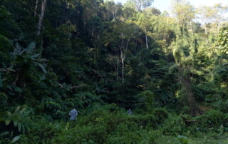 1 day chiang mai trekking chiang dao area, 1 day chiang mai trekking chiang dao, chiang mai trekking chiang dao, trekking chiang dao, trekking chiang dao wildlife sanctuary, hiking chiang dao wildlife sanctuary, hiking chiang dao