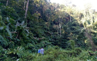 1 day chiang mai trekking chiang dao area, 1 day chiang mai trekking chiang dao, chiang mai trekking chiang dao, trekking chiang dao, trekking chiang dao wildlife sanctuary, hiking chiang dao wildlife sanctuary, hiking chiang dao
