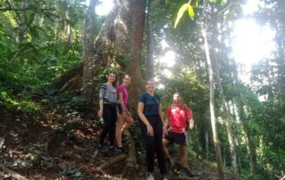 1 day chiang mai trekking chiang dao area, 1 day chiang mai trekking chiang dao, chiang mai trekking chiang dao, trekking chiang dao, trekking chiang dao wildlife sanctuary, hiking chiang dao wildlife sanctuary, hiking chiang dao