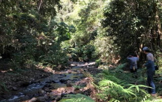 1 day chiang mai trekking chiang dao area, 1 day chiang mai trekking chiang dao, chiang mai trekking chiang dao, trekking chiang dao, trekking chiang dao wildlife sanctuary, hiking chiang dao wildlife sanctuary, hiking chiang dao