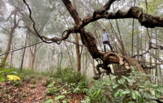 1 day chiang mai trekking chiang dao area, 1 day chiang mai trekking chiang dao, chiang mai trekking chiang dao, trekking chiang dao, trekking chiang dao wildlife sanctuary, hiking chiang dao wildlife sanctuary, hiking chiang dao