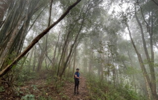 1 day chiang mai trekking chiang dao area, 1 day chiang mai trekking chiang dao, chiang mai trekking chiang dao, trekking chiang dao, trekking chiang dao wildlife sanctuary, hiking chiang dao wildlife sanctuary, hiking chiang dao