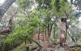 1 day chiang mai trekking chiang dao area, 1 day chiang mai trekking chiang dao, chiang mai trekking chiang dao, trekking chiang dao, trekking chiang dao wildlife sanctuary, hiking chiang dao wildlife sanctuary, hiking chiang dao