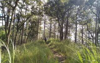 1 day chiang mai trekking chiang dao area, 1 day chiang mai trekking chiang dao, chiang mai trekking chiang dao, trekking chiang dao, trekking chiang dao wildlife sanctuary, hiking chiang dao wildlife sanctuary, hiking chiang dao