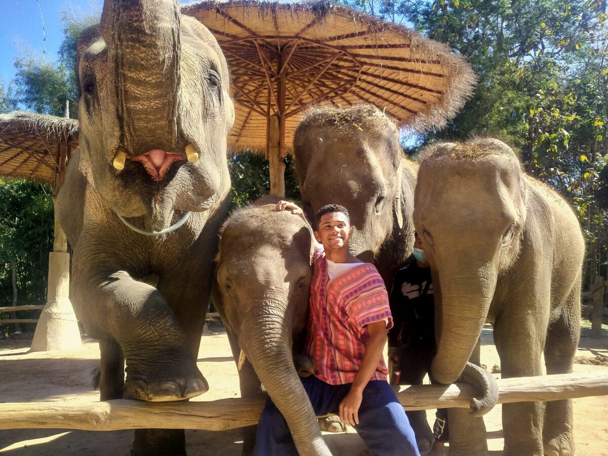 Mae Rim Elephant Home "Fantastic time interacting with the elephants"