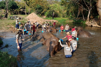 kanta elephant sanctuary, kanta elephant sanctuary chiang mai, kanta elephant camp, kanta elephant park, kanta elephant camp chiang mai