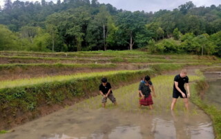 2 days chiangmai trek, 2 days chiang mai trek maewin area, mae wang elephant camp, elephant care mae wang
