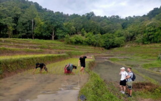 chiang mai maewin trekking, authentic chiang mai maewin trekking, trekking maewin, chiang mai trekking maewin, chiang mai trekking, trekking in chiang mai
