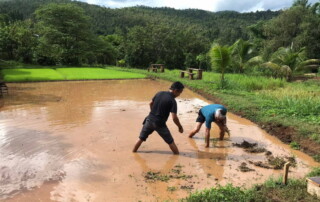 chiang mai maewin trekking, authentic chiang mai maewin trekking, trekking maewin, chiang mai trekking maewin, chiang mai trekking, trekking in chiang mai