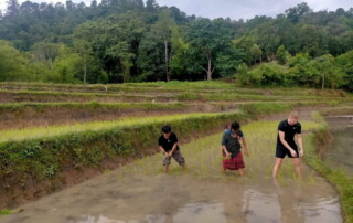 3 days chiangmai trek, 3 days chiangmai trek maewin, 3 days chiang mai trek maewin area, 3-day chiangmai trek, 3-day chiang mai trek, chiang mai trekking