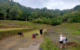 3 days chiangmai trek, 3 days chiangmai trek maewin, 3 days chiang mai trek maewin area, 3-day chiangmai trek, 3-day chiang mai trek, chiang mai trekking