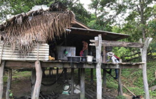 3 days chiangmai trek, 3 days chiangmai trek maewin, 3 days chiang mai trek maewin area, 3-day chiangmai trek, 3-day chiang mai trek, chiang mai trekking
