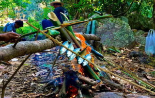 3 days chiangmai trek, 3 days chiangmai trek maewin, 3 days chiang mai trek maewin area, 3-day chiangmai trek, 3-day chiang mai trek, chiang mai trekking