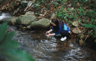 chiang mai coffee farm tour, coffee farm tour in chiang mai, chiang mai coffee tour, chiang mai coffee farm, tour coffee farm in chiang mai