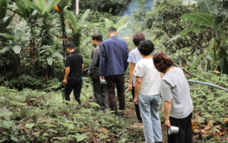 chiang mai coffee farm tour, coffee farm tour in chiang mai, chiang mai coffee tour, chiang mai coffee farm, tour coffee farm in chiang mai