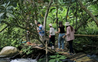 chiang mai coffee farm tour, coffee farm tour in chiang mai, chiang mai coffee tour, chiang mai coffee farm, tour coffee farm in chiang mai