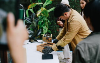 chiang mai coffee farm tour, coffee farm tour in chiang mai, chiang mai coffee tour, chiang mai coffee farm, tour coffee farm in chiang mai