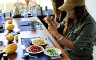 chiang mai coffee farm tour, coffee farm tour in chiang mai, chiang mai coffee tour, chiang mai coffee farm, tour coffee farm in chiang mai