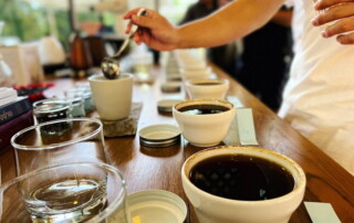 coffee farm tour in chiang mai, chiang mai coffee tour, chiang mai coffee farm, tour coffee farm in chiang mai