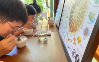 coffee farm tour in chiang mai, chiang mai coffee tour, chiang mai coffee farm, tour coffee farm in chiang mai