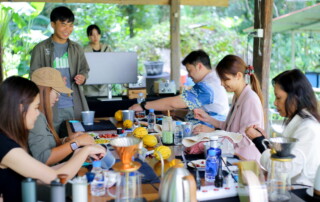 coffee farm tour in chiang mai, chiang mai coffee tour, chiang mai coffee farm, tour coffee farm in chiang mai