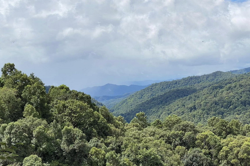 Giew Hin Viewpoint, pang hai