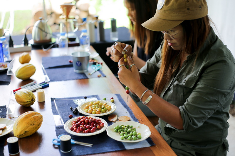 chiang mai coffee farm tour, chiang mai coffee farm