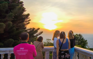 sunrise at doi suthep, sunrise at doi suthep temple, sunrise at suthep temple, sunrise tour at doi suthep temple, sunrise tour at suthep temple, sunrise at doi suthep and elephant tour