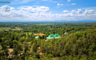 wat doi supphanyu, doi supphanyu temple