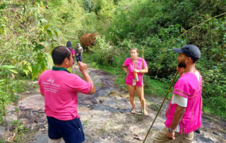 joy elephant sanctuary, joy elephant sanctuary chiang mai