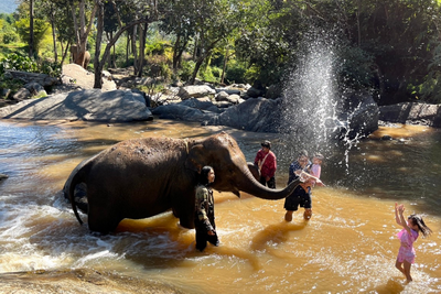 elephant sanctuaries in chiang mai, chiang mai elephant sanctuaries, chiang mai elephant care, chiang mai elephant care tour, ehtical elephant sanctuaries chiang mai