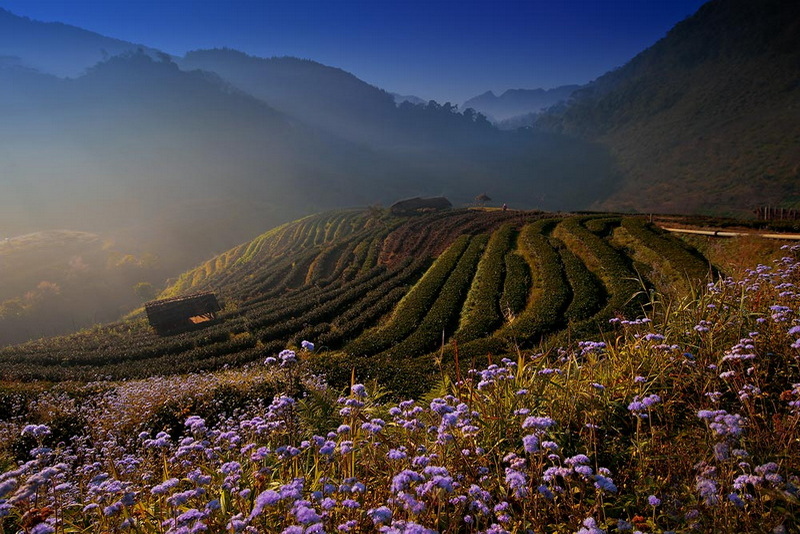 doi ank khang, doi ang khang nature