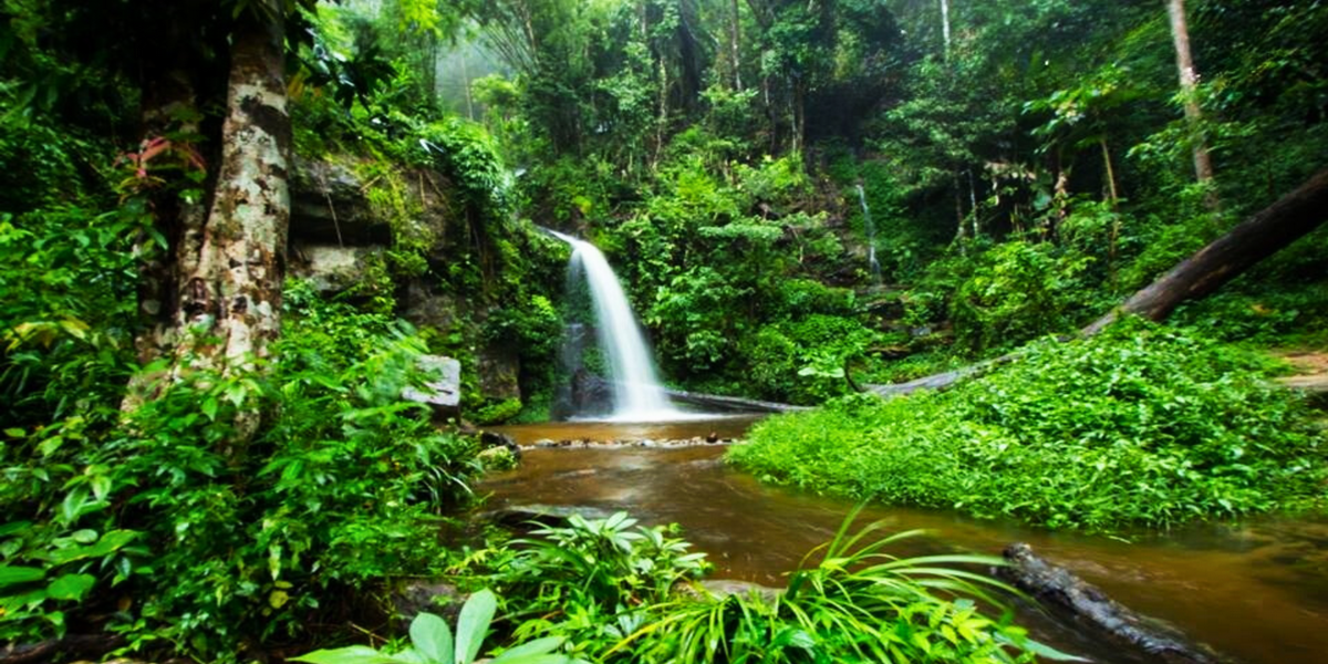 huay kaew waterfall, huai kaew waterfall, huaykaew waterfall, huaikaew waterfall, huay kaew waterfall chiang mai