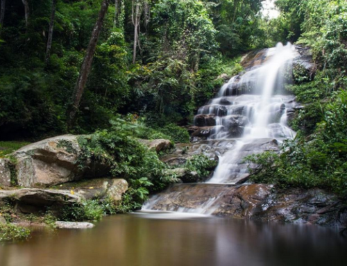 Huay Kaew Waterfall