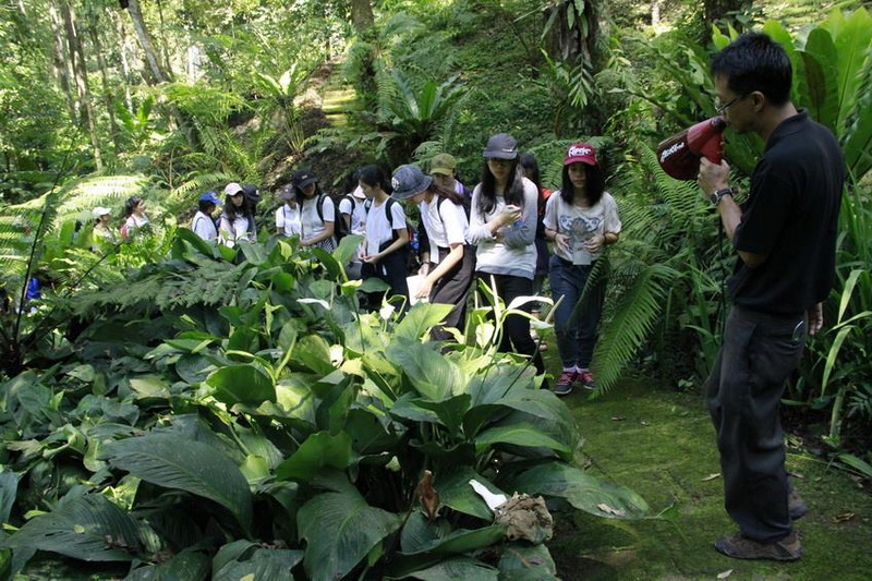 queen sirikit botanic garden, botanic garden chiang mai, chiang mai workshop, chiang mai learning, chiang mai craft, chiang mai hands-on learning, chiang mai handmade learning