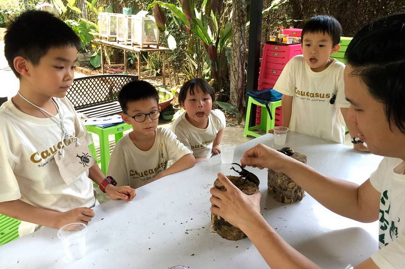 siam insect zoo, chiang mai insect zoo, chiang mai workshop, chiang mai learning, chiang mai craft, chiang mai hands-on learning, chiang mai handmade learning