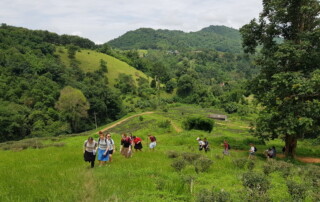 chiang rai day trek, trekking in chiang rai, one day trek chiang rai, chiang rai hiking, hiking in chiang rai, chiang rai trek one day, 1 day trek chiang rai, 1 day trekking in chiang rai, trekking adventure in chiang rai