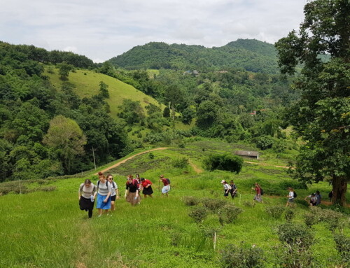 Chiang Rai Tour02 : Chiang Rai Day Trek