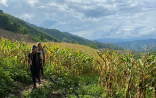 chiang rai day trek, trekking in chiang rai, one day trek chiang rai, chiang rai hiking, hiking in chiang rai, chiang rai trek one day, 1 day trek chiang rai, 1 day trekking in chiang rai, trekking adventure in chiang rai