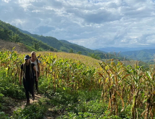 Chiang Rai Tour03 : Chiang Rai 2 Days Trek