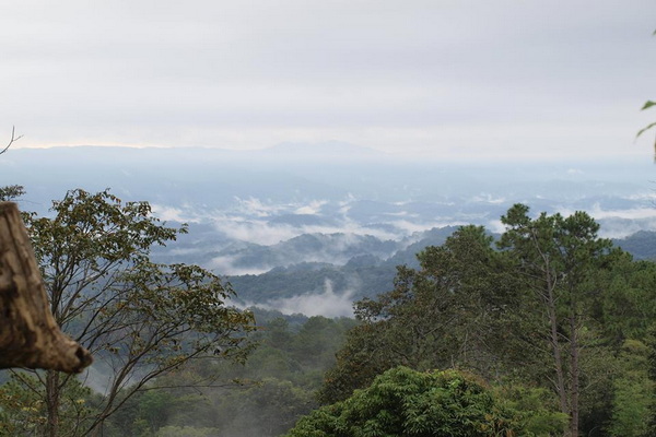 doi luang national park