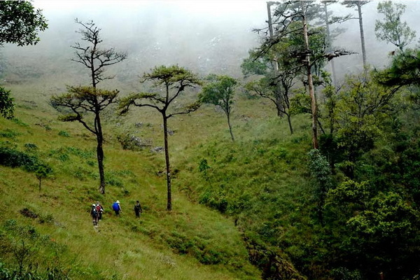 khun chae national park, khun chae 