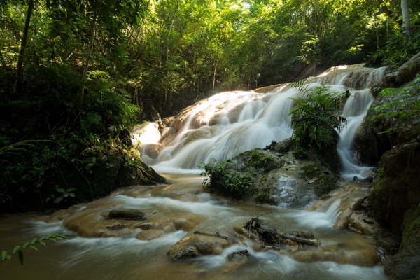 pha daeng national park, pha daeng, national parks in northern Thailand, national parks in chiang mai