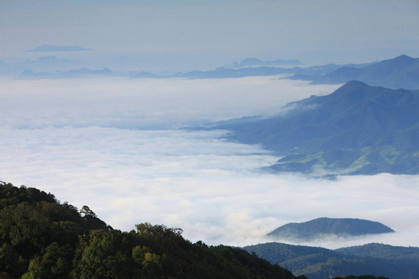 doi phahom pok, doi pha hom pok, doi pha hom pok national park, doi phahom pok national park