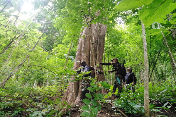 salawin national park, salawin, salawin forest park